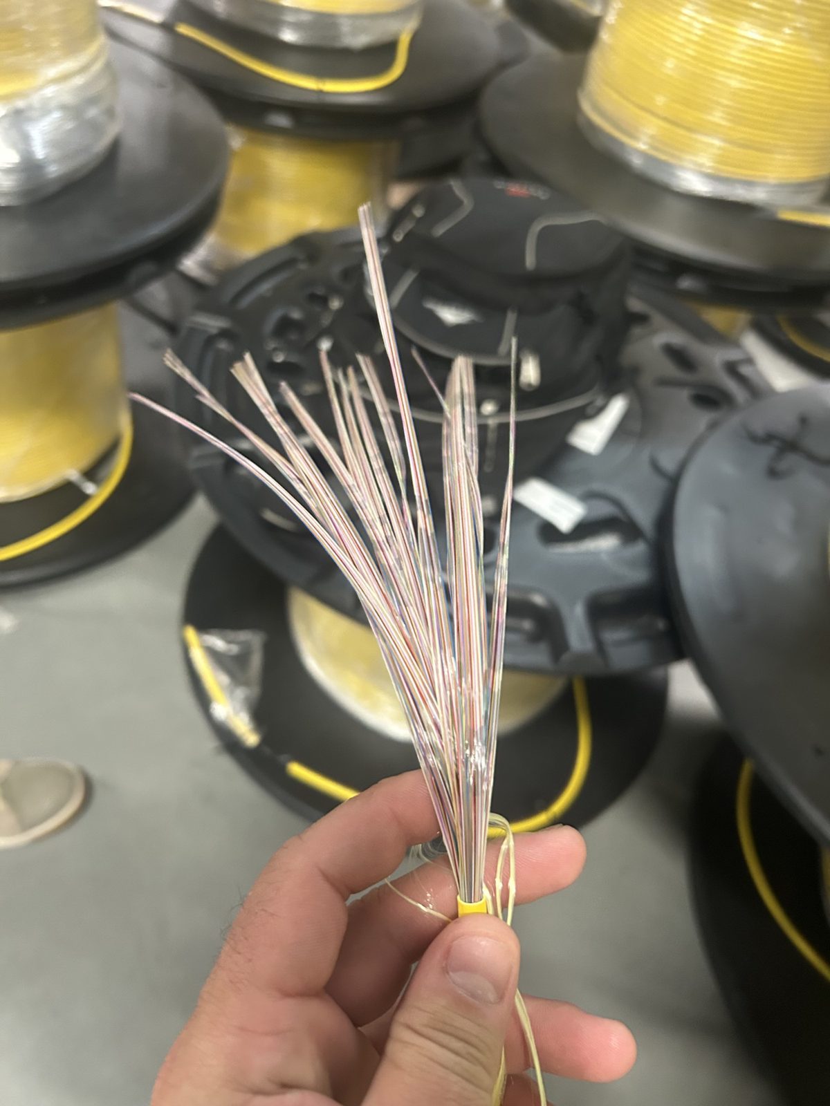 Ribbon fiber